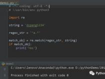python表达式是什么意思
