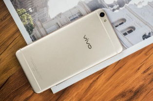 vivo和oppo有什么区别啊