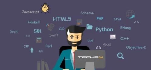 web前端和qt工程师区别