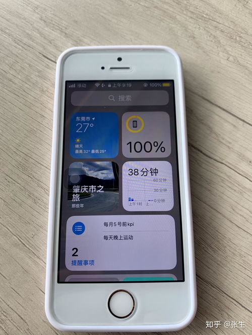 苹果se第一代参数