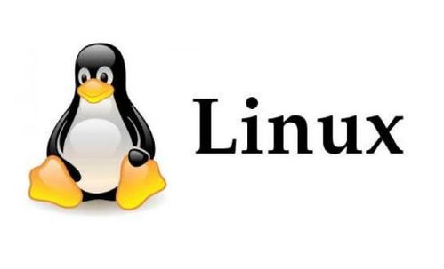 linux实时查看日志文件查看日志后100行