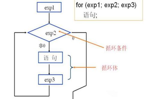 c语言for循环语句用法