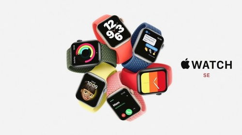 AppleWatchSE有什么功能AppleWatchSE功能详细介绍