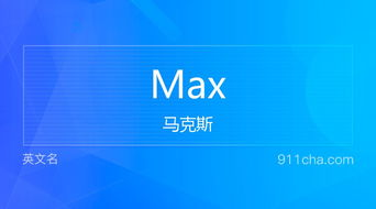max的含义是什么