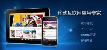 app开发哪家好