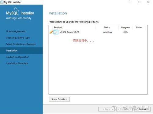 学会设置五大类MySQL参数