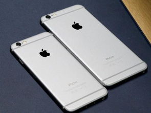 iphone7plus有几个版本