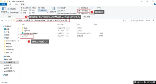 mysql中插入中文报错怎么解决
