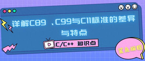 什么是C99