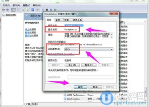 为何共享文件或打印机时提示指定的网络不可用