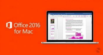 macbook能用office吗