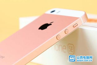 苹果iphone se是全网通吗