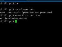 linux root用户下要删除一个文件却删除不了。