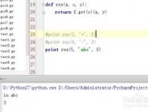 %s在python中是什么意思