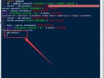 如何用python连接mysql数据库