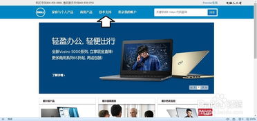 怎么知道dell台式电脑的型号