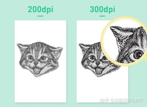 哪个牌子的,标签打印机好用,性价比高