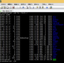 Linux如何 查看根目录