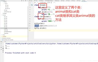 python中的继承和多态