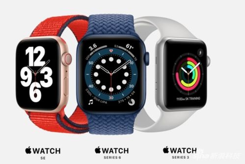 Apple Watch SE有什么功能 Apple Watch SE功能详细介绍