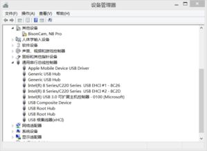 电脑上没有Apple Mobile Device 服务 这个服务怎么办