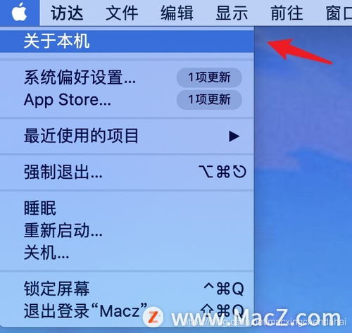 苹果电脑如何清理缓存