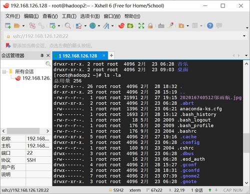 linux 好用的命令