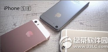 苹果se行货型号是什么