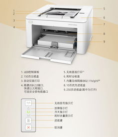 为什么打印机不能双面打印了呢