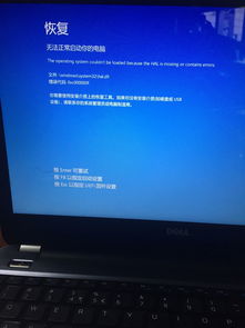 戴尔电脑启动不起来怎么办