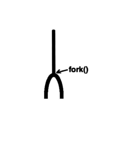十九. fork的原理及实现