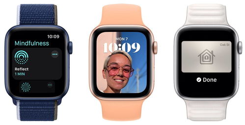 apple watch型号对照表