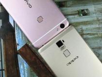 vivo的手机和oppo的手机哪个耐摔