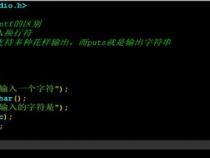 C语言中put()与puts()的区别是什么