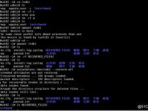 Linux 系统文件误删除,求恢复!!!