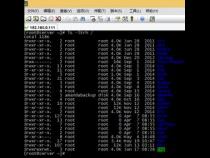 Linux如何 查看根目录