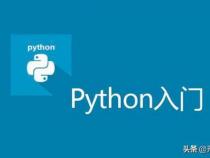 Python中的选择语句有哪些呢