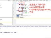python中的继承和多态