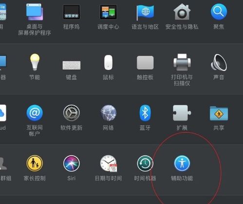 苹果笔记本电脑触摸板如何关闭啊