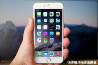 苹果SE怎么进入DFU模式