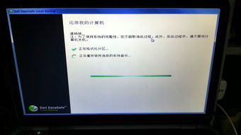 戴尔是什么系统