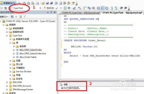 使用SQL语句创建存储过程