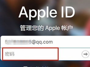 苹果电脑要登入账号苹果电脑怎么登陆id