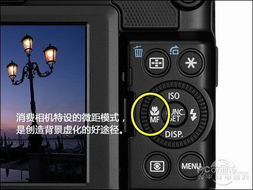 数码相机微距拍摄技巧
