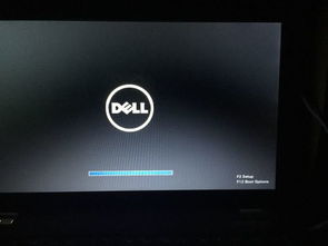 DELL电脑开机不显示logo怎么办啊