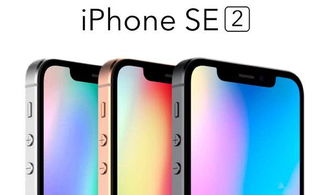 苹果se2手机里面型号显示为什么是SE