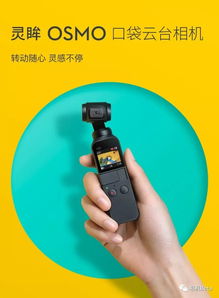 大疆运动相机和大疆口袋相机那个好
