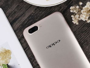oppo手机是什么牌子的