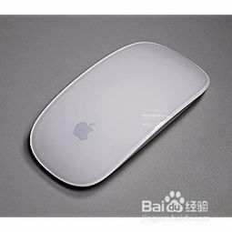 苹果笔记本带鼠标么