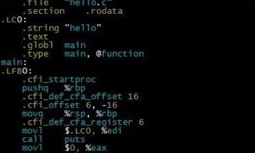 c语言编译生成的.obj文件解释下